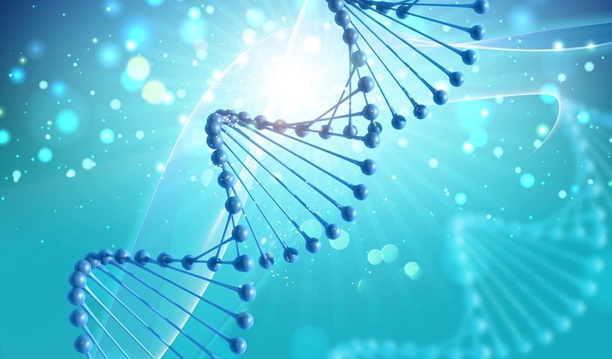 Genetik Verilerin İşlenmesinde Dikkat Edilmesi Gereken Hususlar Nelerdir?